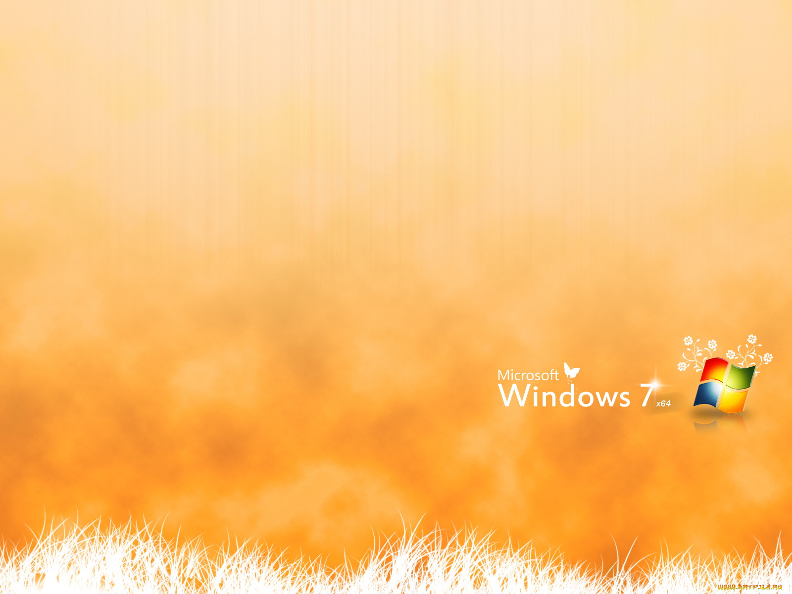 , windows, vienna, , , 